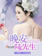 晚安,陆先生 晚安,陆先生